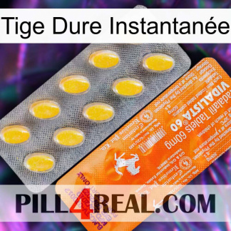 Tige Dure Instantanée new05